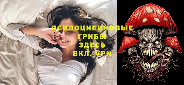 гидропоника Алзамай