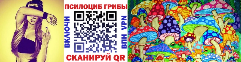 где найти   Петушки  Галлюциногенные грибы Psilocybe 